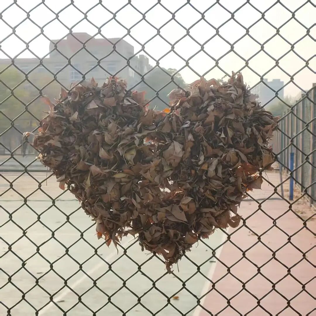 手机版BBIN下载