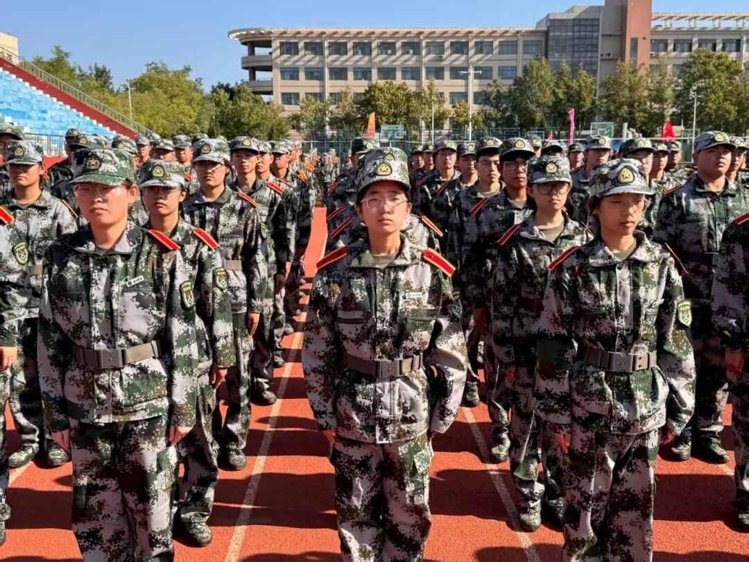 手机版BBIN下载