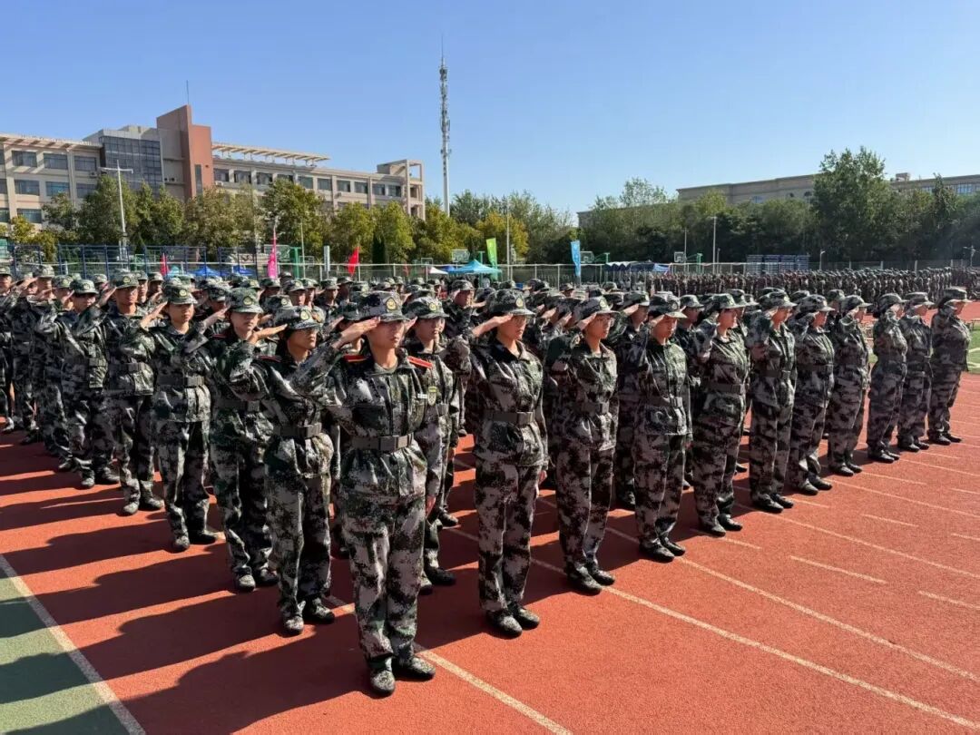 手机版BBIN下载