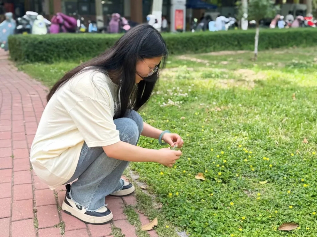 手机版BBIN下载
